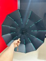 Premium 12-Ribs Automatic Open/Close Umbrella — Wooden Handle - Image 2
